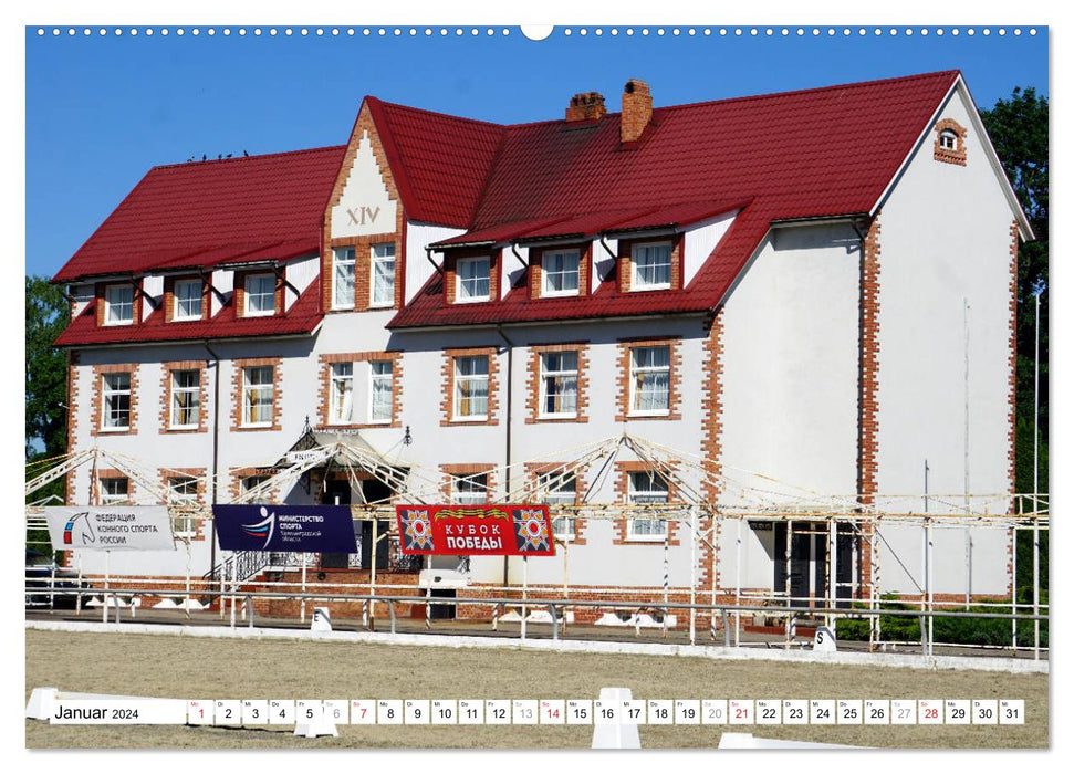 Pferdeland Ostpreußen - Gestüt Georgenburg (CALVENDO Premium Wandkalender 2024)
