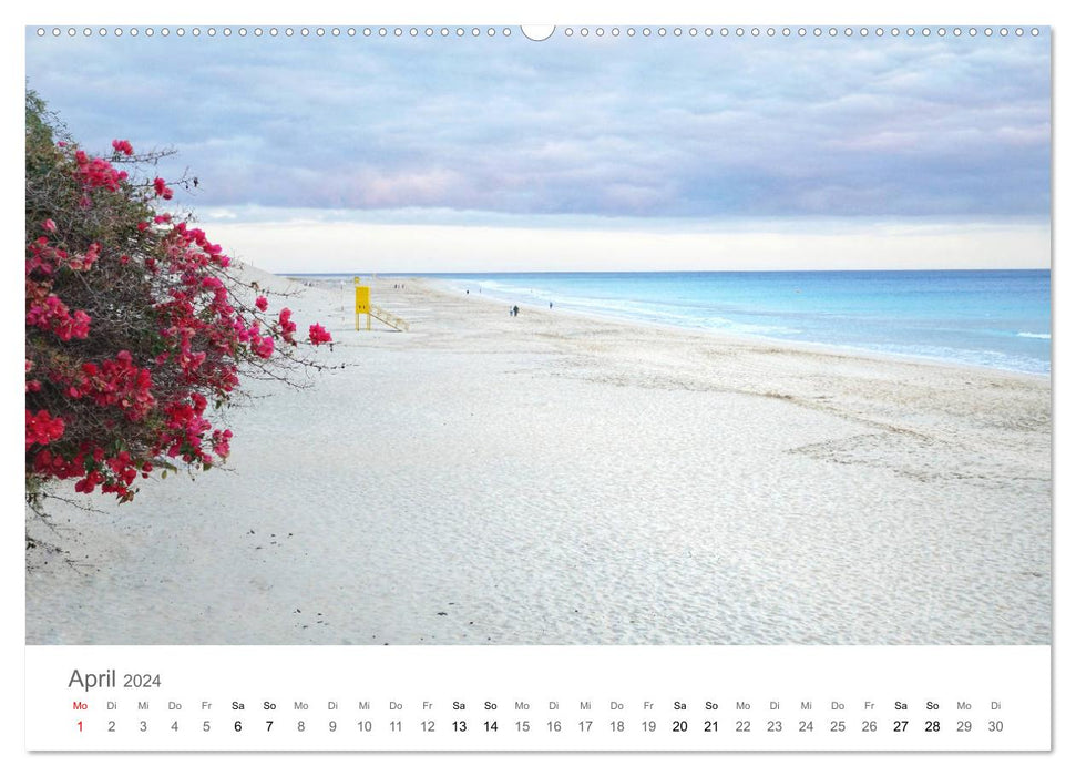Fuerteventura - die Wüsteninsel der Kanaren (CALVENDO Wandkalender 2024)