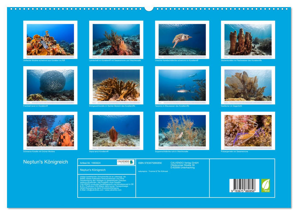 Neptun's Königreich (CALVENDO Premium Wandkalender 2024)