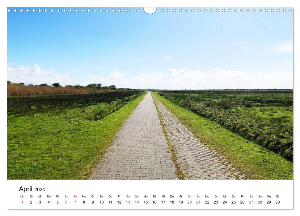 Borkum - Wo die Zeit still steht. (CALVENDO Wandkalender 2024)