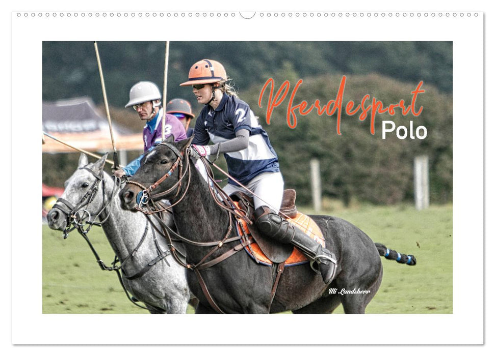 Pferdesport Polo (CALVENDO Wandkalender 2024)