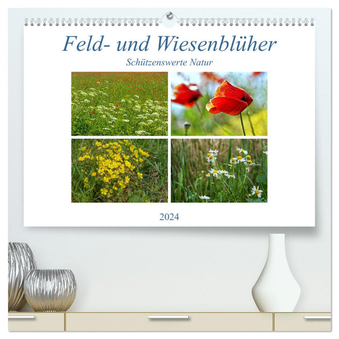 Feld- und Wiesenblüher Schützenswerte Natur (CALVENDO Premium Wandkalender 2024)
