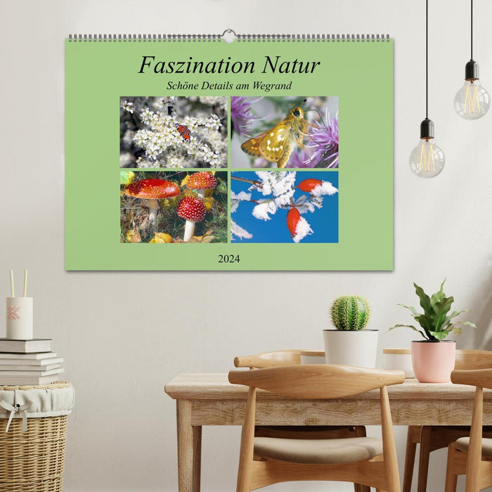 Faszination Natur - Schöne Details am Wegrand (CALVENDO Wandkalender 2024)