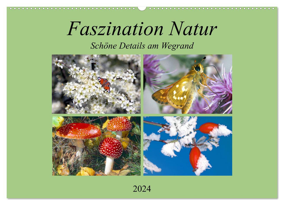 Faszination Natur - Schöne Details am Wegrand (CALVENDO Wandkalender 2024)