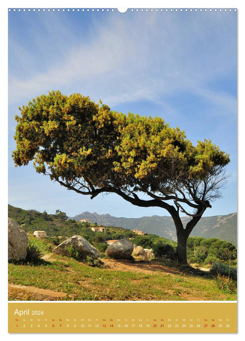 Korsika - Felsen und Meer (CALVENDO Premium Wandkalender 2024)