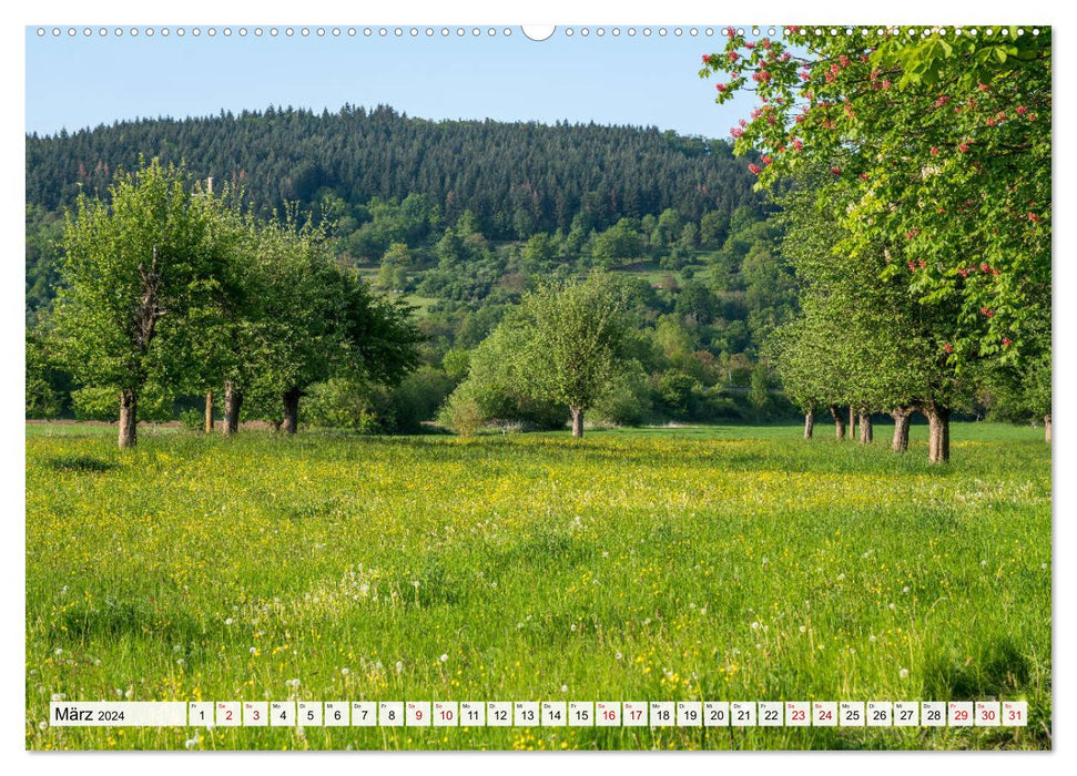 Das lieblicheTaubertal. (CALVENDO Wandkalender 2024)