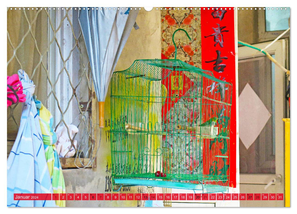Das alte Peking - Malerische Hutongs (CALVENDO Premium Wandkalender 2024)