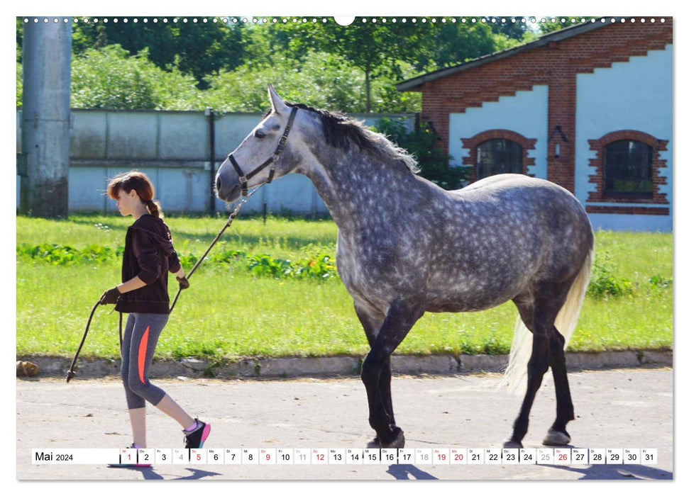 Pferdeland Ostpreußen - Gestüt Georgenburg (CALVENDO Wandkalender 2024)