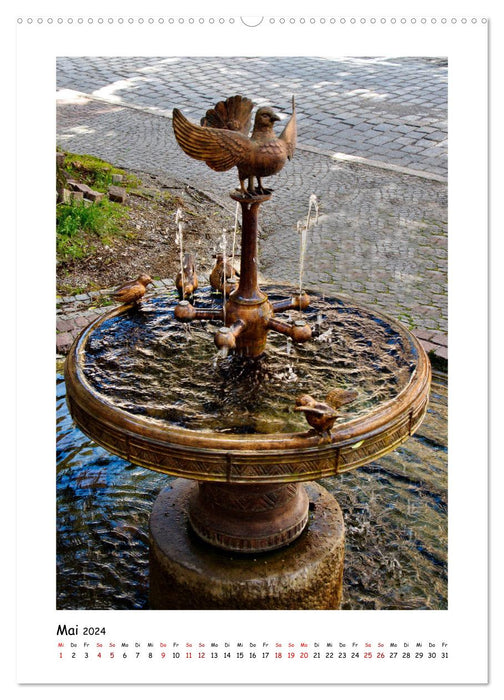 Wangen im Allgäu und seine schönen Brunnen (CALVENDO Premium Wandkalender 2024)