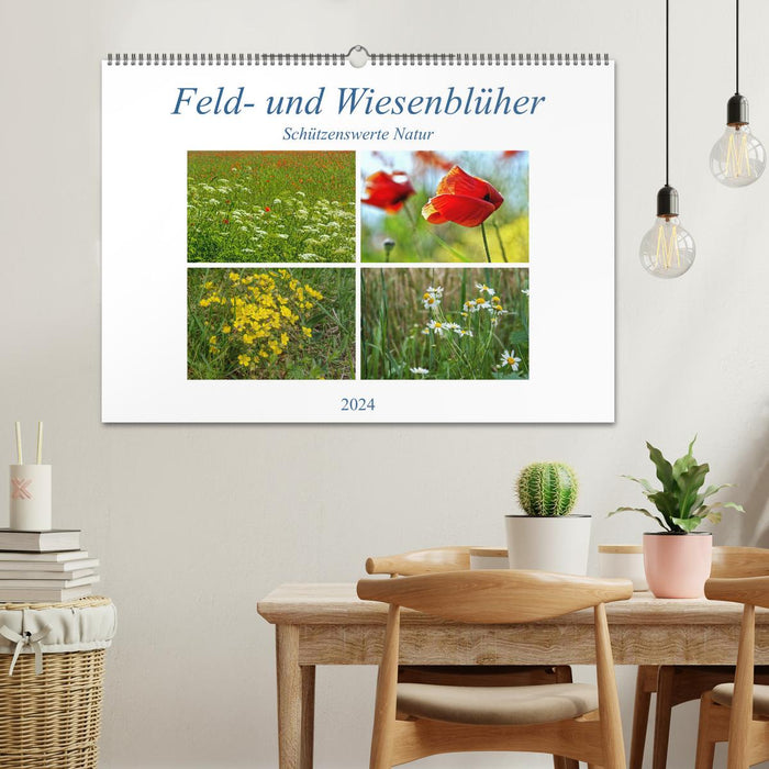 Feld- und Wiesenblüher Schützenswerte Natur (CALVENDO Wandkalender 2024)