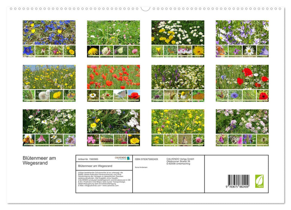 Blütenmeer am Wegesrand (CALVENDO Premium Wandkalender 2024)
