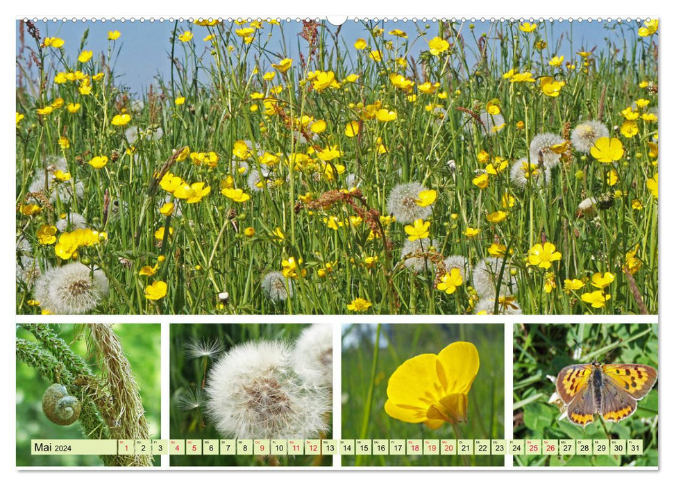 Blütenmeer am Wegesrand (CALVENDO Premium Wandkalender 2024)