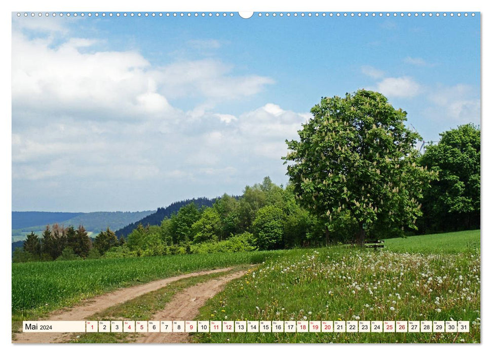 Viele Wege - ein Ziel Wandern im Odenwald (CALVENDO Premium Wandkalender 2024)