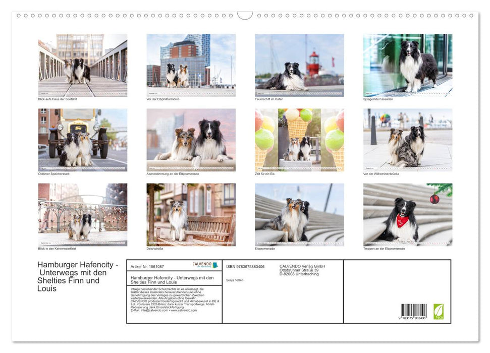 Hamburger Hafencity - Unterwegs mit den Shelties Finn und Louis (CALVENDO Wandkalender 2024)