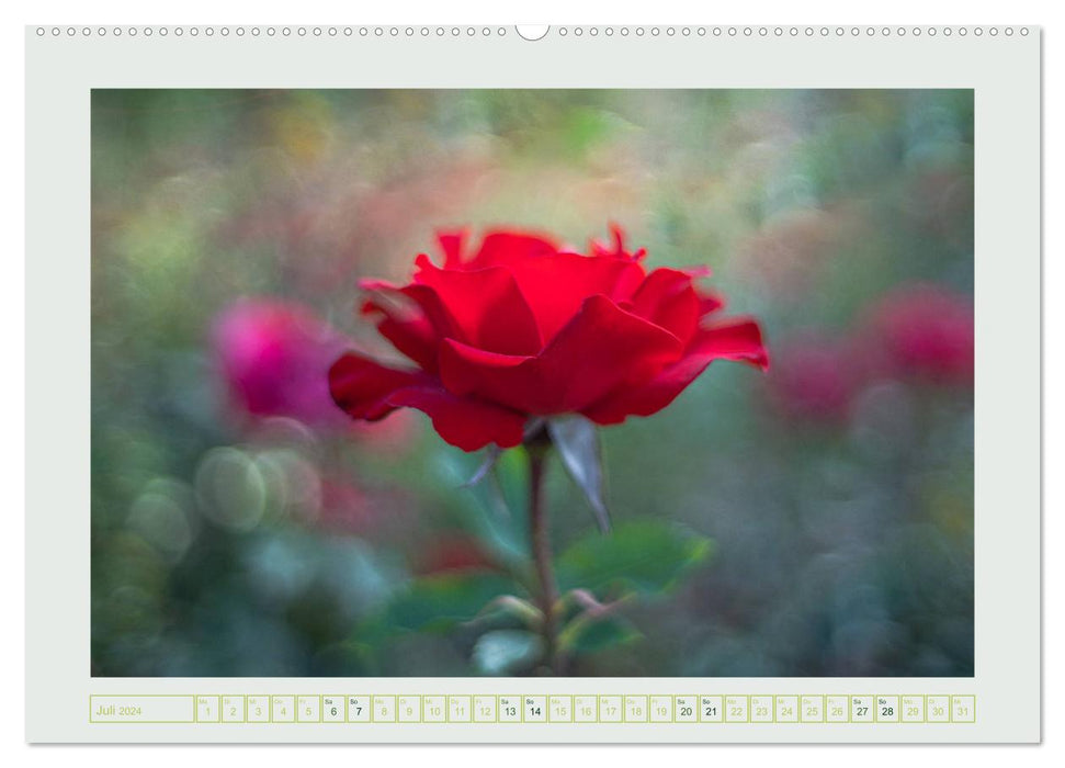 Dans la Vallée des Roses (Calvendo Premium Wall Calendar 2024) 