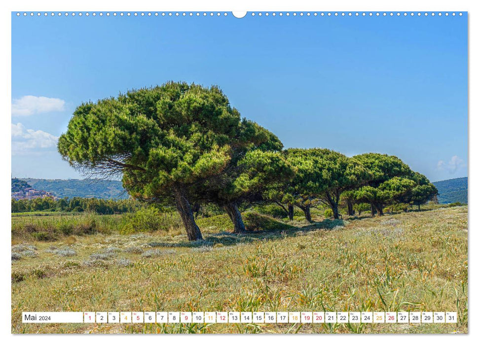 Sardinien Knorrige Bäume in urwüchsiger Landschaft (CALVENDO Premium Wandkalender 2024)