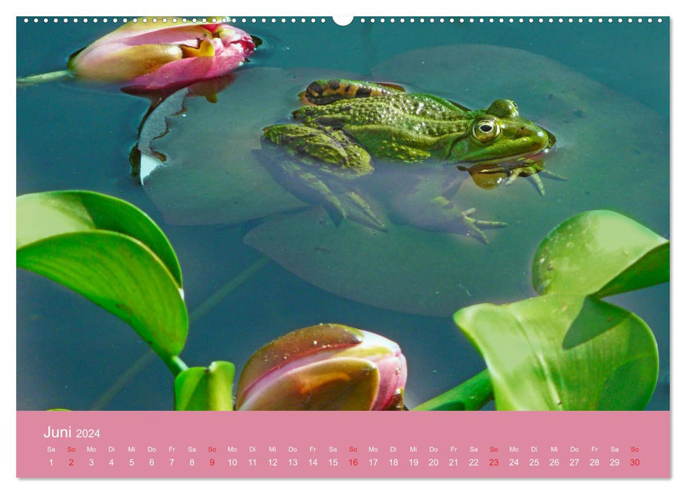 Fauna trifft Flora - Tierischer Besuch im Pflanzenreich (CALVENDO Premium Wandkalender 2024)