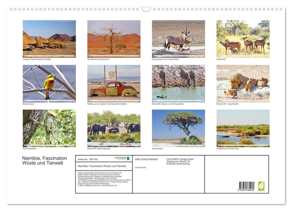 Namibia, Faszination Wüste und Tierwelt (CALVENDO Wandkalender 2024)