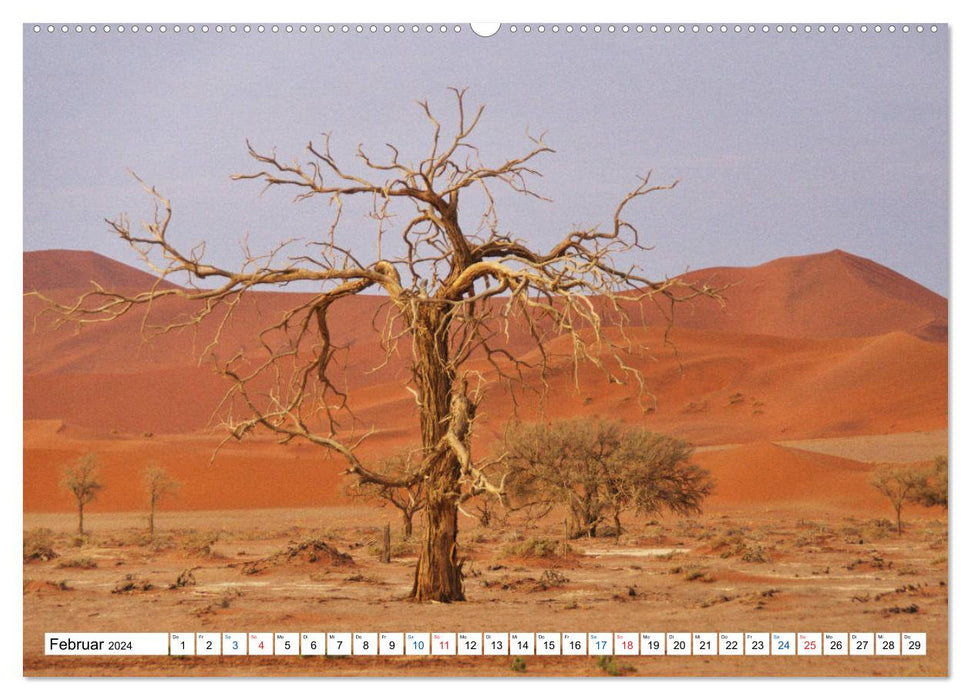 Namibie, fascination pour le désert et la faune (Calendrier mural CALVENDO 2024) 