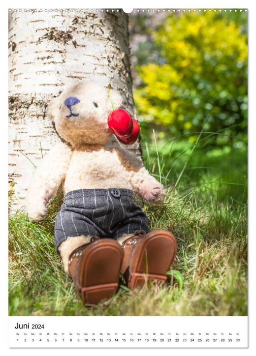 Teddybären Abenteuer - Zu Hause und Unterwegs (CALVENDO Wandkalender 2024)