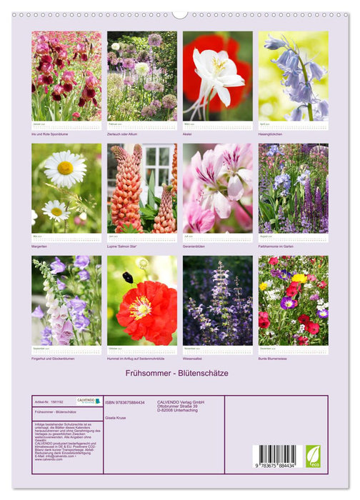 Frühsommer Blütenschätze (CALVENDO Premium Wandkalender 2024)
