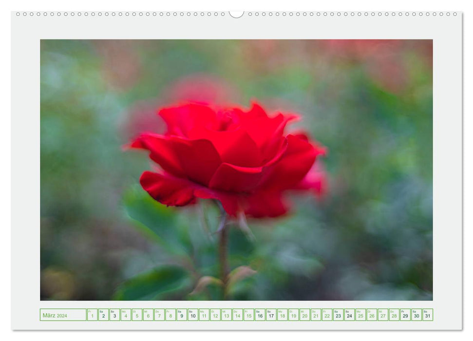Im Tal der Rosen (CALVENDO Wandkalender 2024)