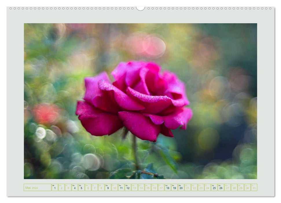 Im Tal der Rosen (CALVENDO Wandkalender 2024)