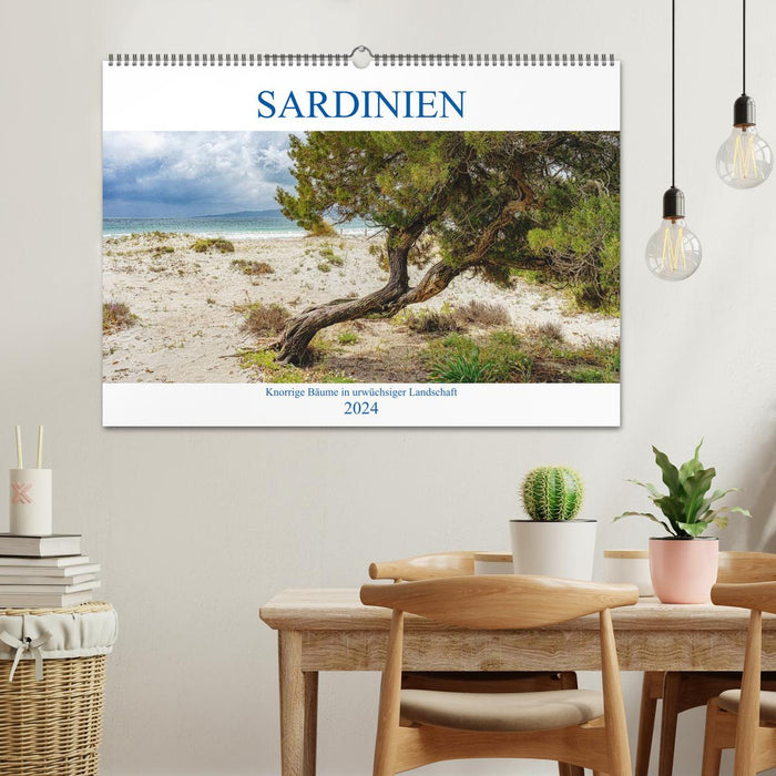 Sardinien Knorrige Bäume in urwüchsiger Landschaft (CALVENDO Wandkalender 2024)