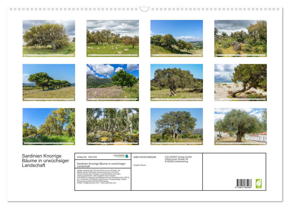 Sardinien Knorrige Bäume in urwüchsiger Landschaft (CALVENDO Wandkalender 2024)