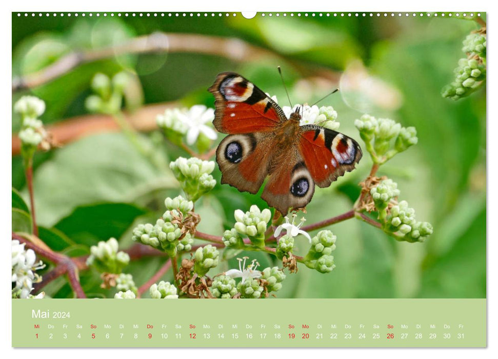 Fauna trifft Flora - Tierischer Besuch im Pflanzenreich (CALVENDO Wandkalender 2024)