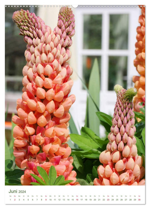 Frühsommer Blütenschätze (CALVENDO Wandkalender 2024)