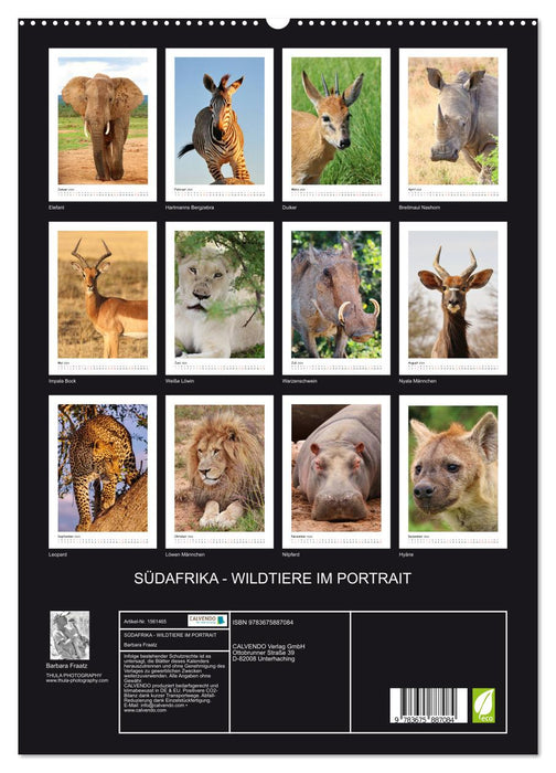 SÜDAFRIKA - WILDTIERE IM PORTRAIT (CALVENDO Premium Wandkalender 2024)