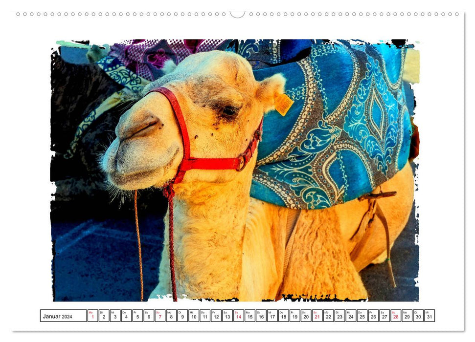 Bezauberndes Marokko (CALVENDO Premium Wandkalender 2024)