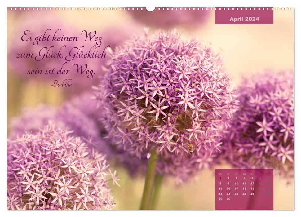 Blüten Symphonien mit Poesie (CALVENDO Premium Wandkalender 2024)