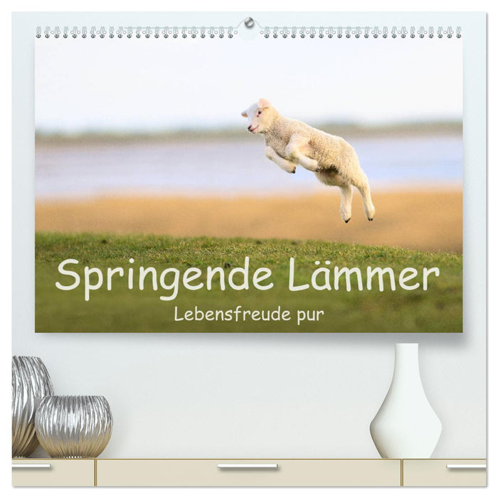 Springende Lämmer: Lebensfreude pur (CALVENDO Premium Wandkalender 2024)