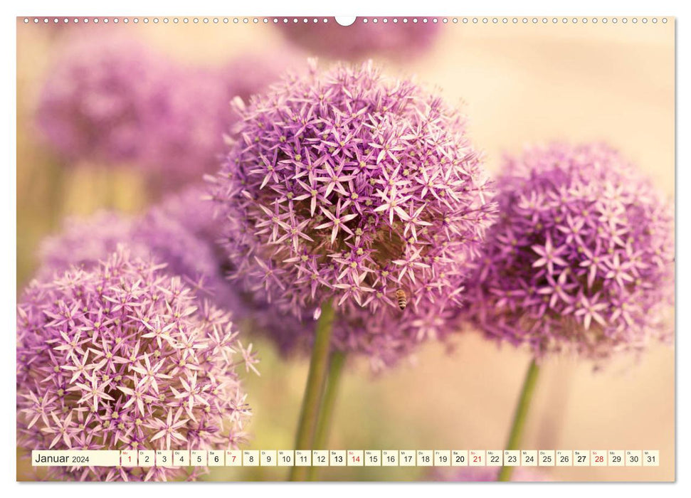 Blüten Symphonien aus den Gärten dieser Erde (CALVENDO Premium Wandkalender 2024)