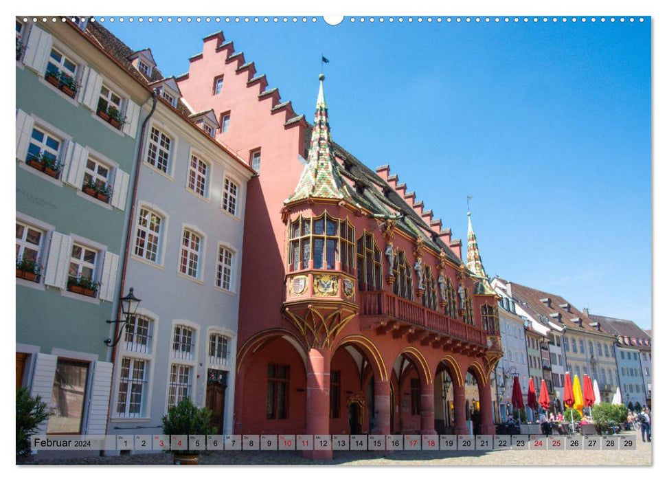 Freiburg im Breisgau - Die Schwarzwaldmetropole (CALVENDO Wandkalender 2024)