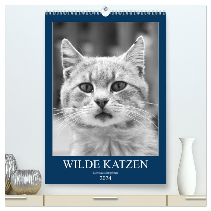Wilde Katzen - Korsikas Samtpfoten (CALVENDO Premium Wandkalender 2024)
