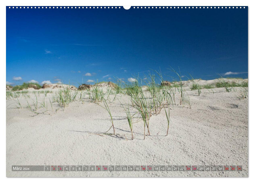 Saint Peter Ording. Sun - Beach - Sea (CALVENDO wall calendar 2024) 