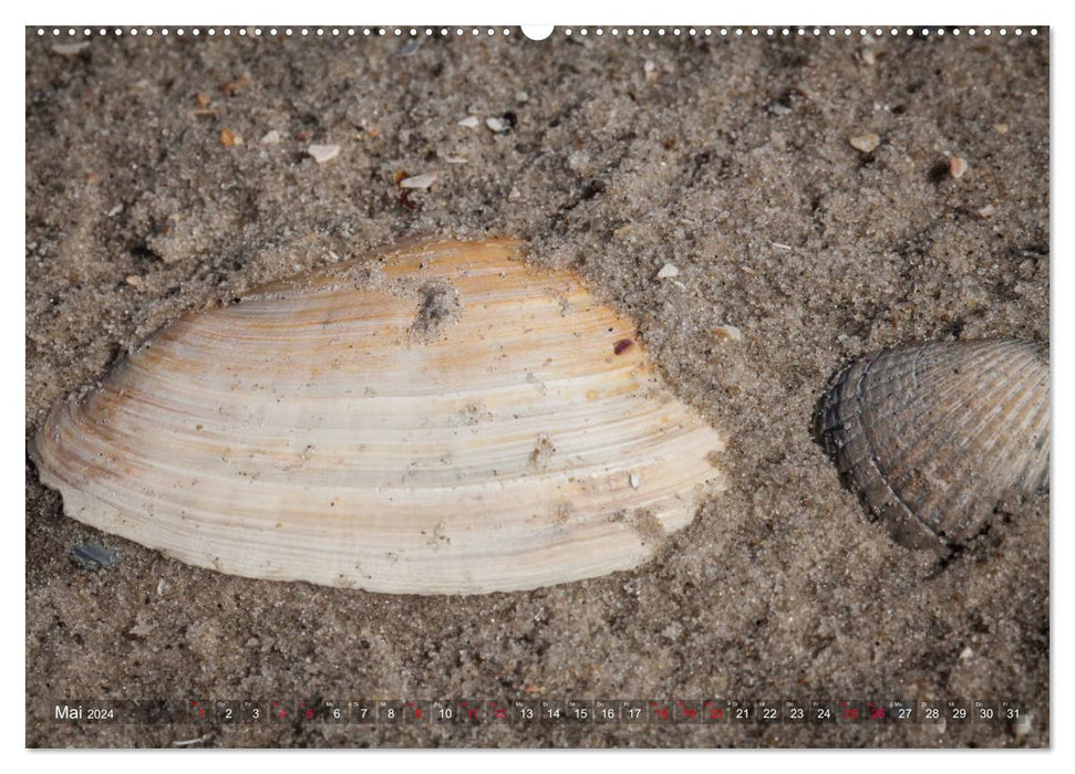 Saint Peter Ording. Sun - Beach - Sea (CALVENDO wall calendar 2024) 