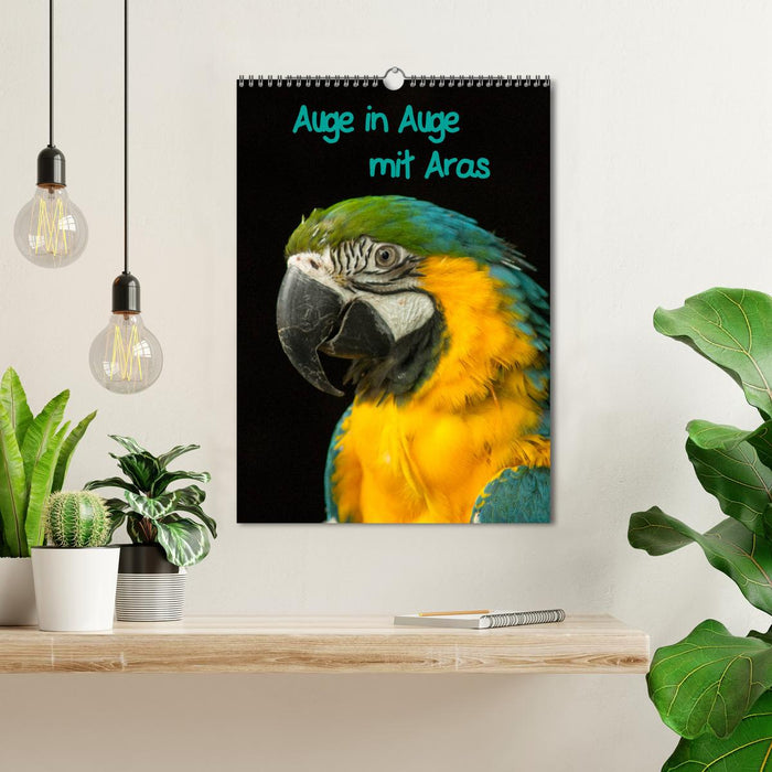 Eye to eye with macaws (CALVENDO wall calendar 2024) 