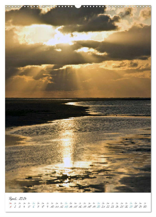Jütlands Nordsee (CALVENDO Wandkalender 2024)