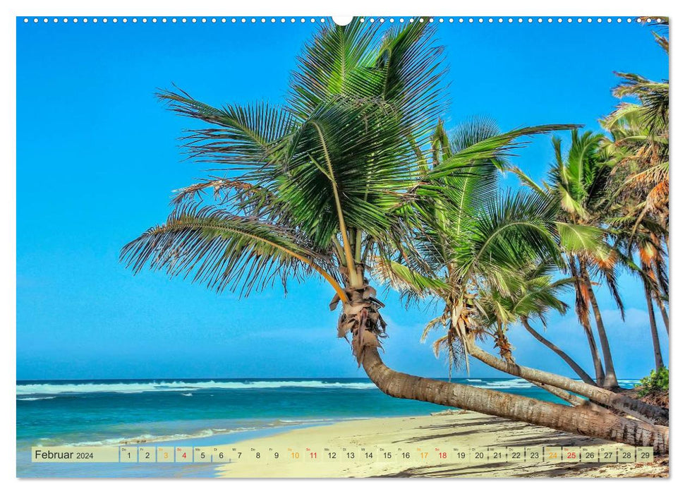 Die großen Antillen - Kuba (CALVENDO Wandkalender 2024)