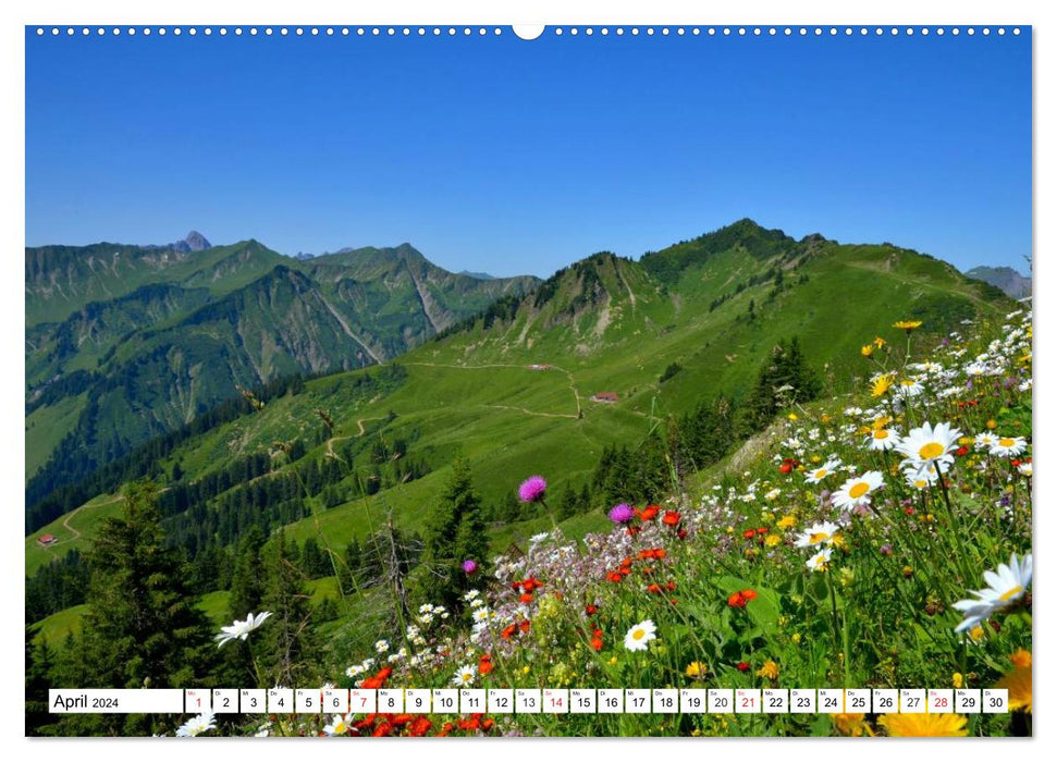 Beloved Styria in the heart of Austria (CALVENDO wall calendar 2024) 