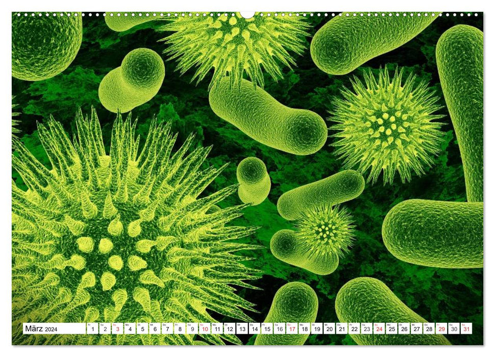 Mikrobiologie. Mikroorganismen, Genetik und Zellen (CALVENDO Premium Wandkalender 2024)