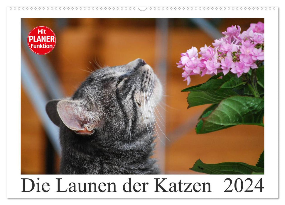 Die Launen der Katzen 2024 (CALVENDO Wandkalender 2024)