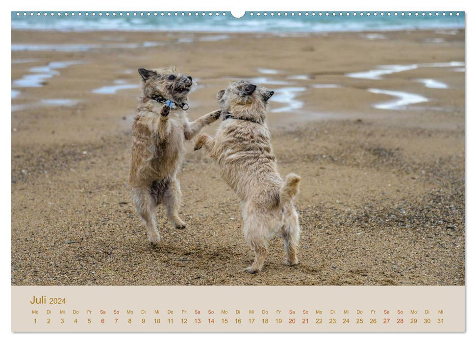 Cairns Forever (CALVENDO Premium Wandkalender 2024)