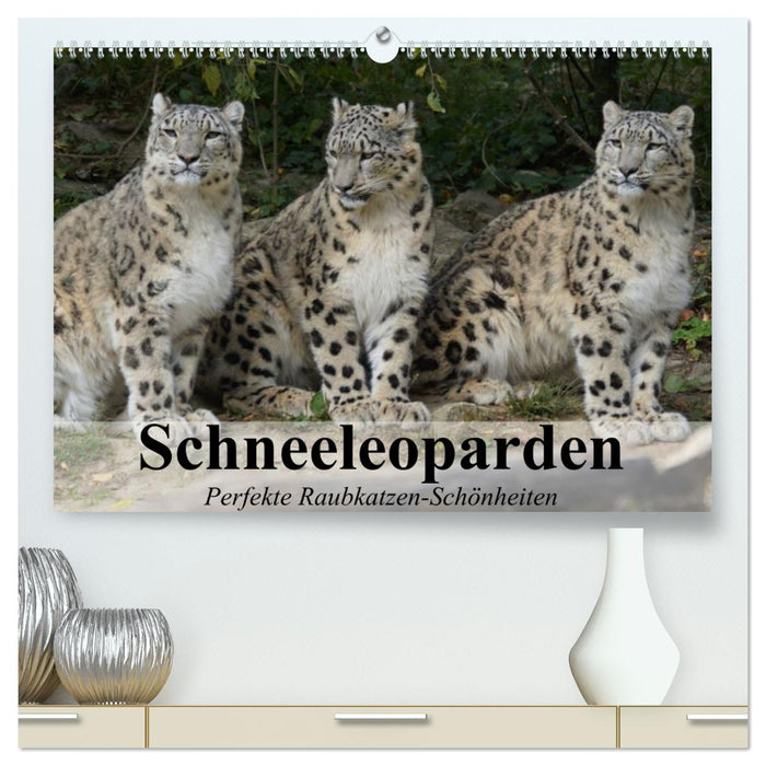 Schneeleoparden. Perfekte Raubkatzen-Schönheiten (CALVENDO Premium Wandkalender 2024)