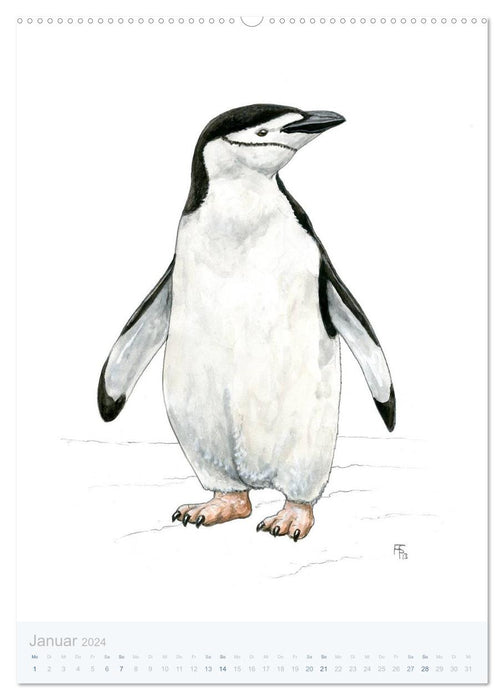 Pinguine - 13 Illustrationen (CALVENDO Premium Wandkalender 2024)