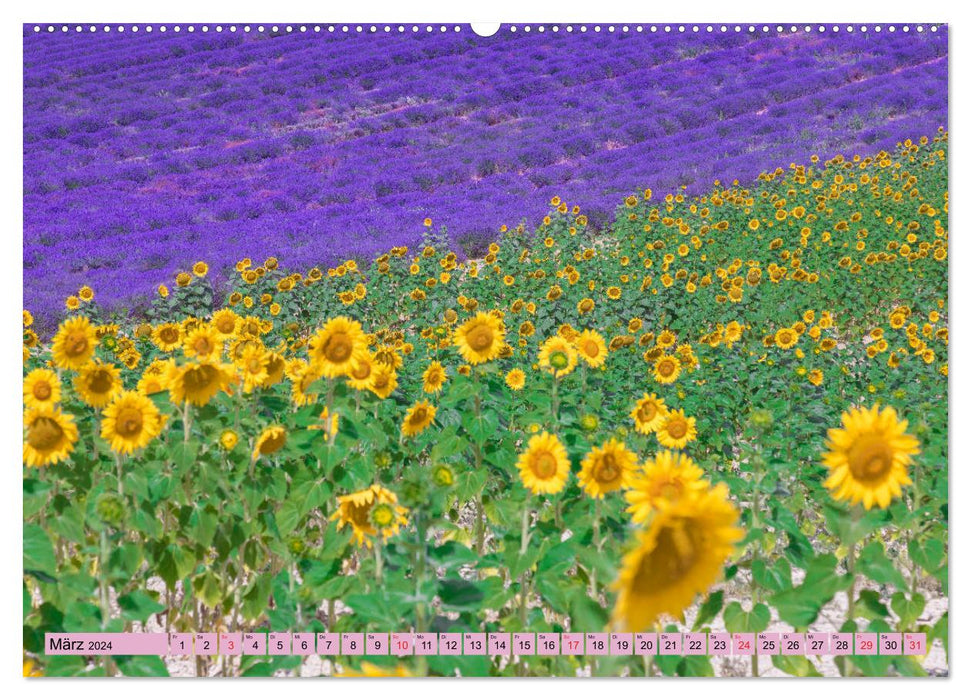 Provence, lavender time in southern France (CALVENDO wall calendar 2024) 